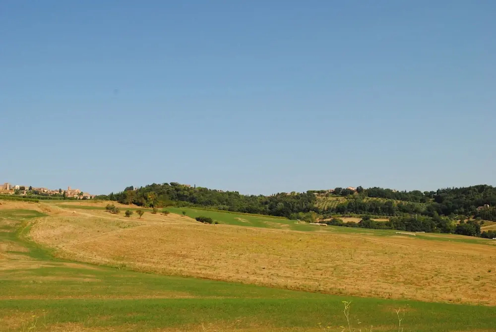 Alice - Podere Ribatti Casole d'Elsa