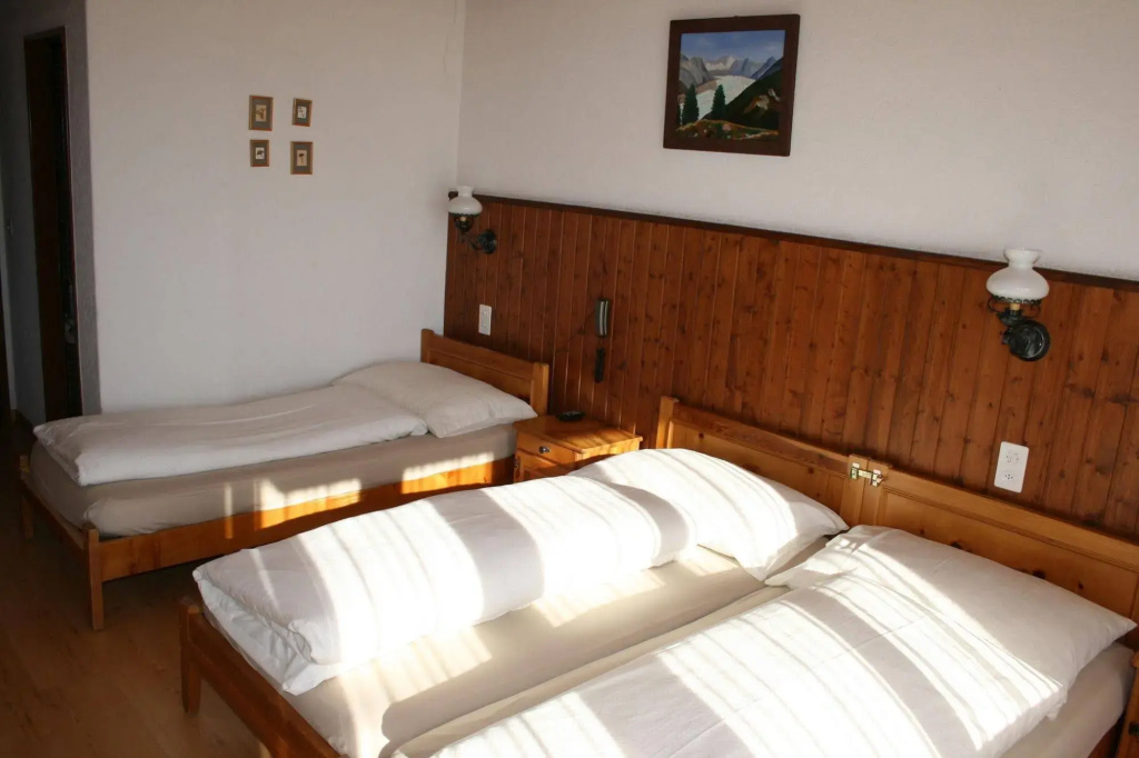 Hotel Fiescherhof - Général