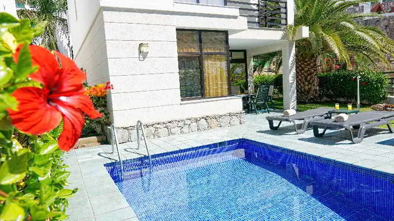 Hotel photo 36