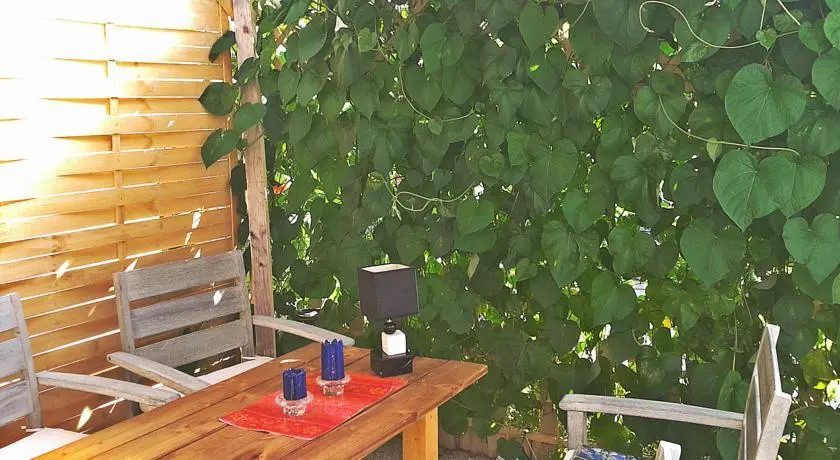 Voir la photo 4 — Galith's House