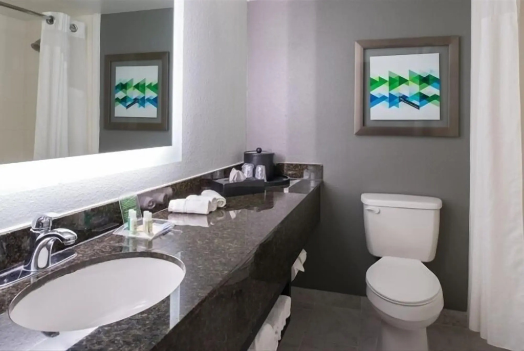 Holiday Inn Hotel & Suites Beaumont Plaza (I-10 & Walden) by IHG - Général