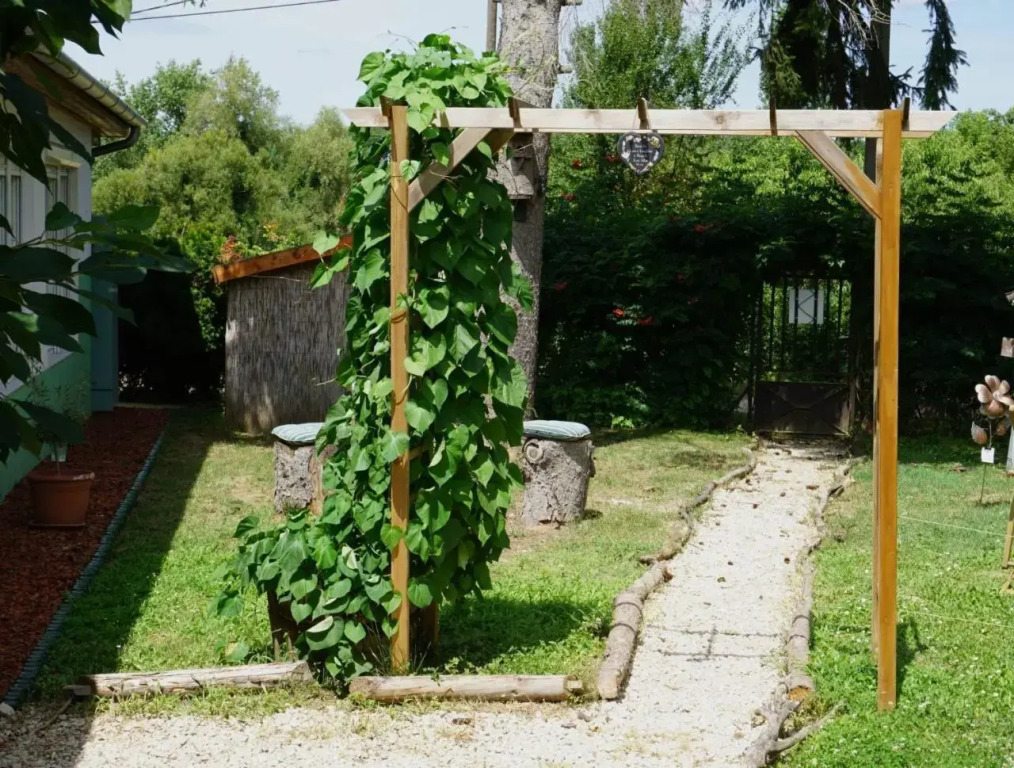 Koppany Pines Rewild Escapes - Hungarian Village Panzio - фото 15