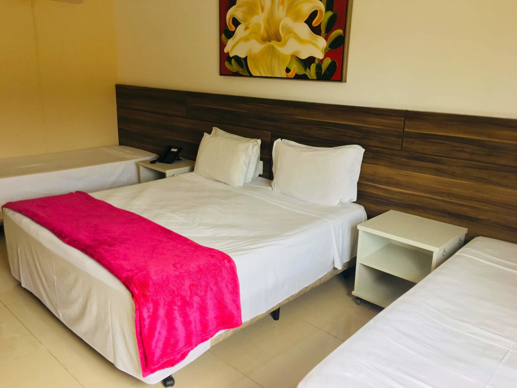 Transoceânico Praia Hotel - Général