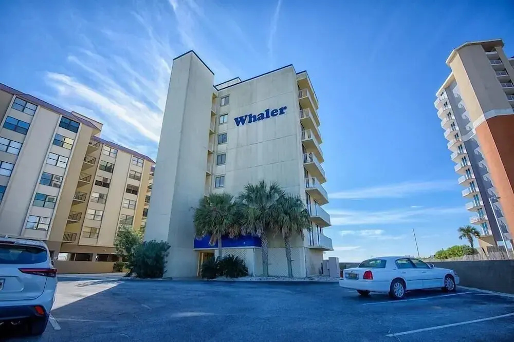 The Whaler B3