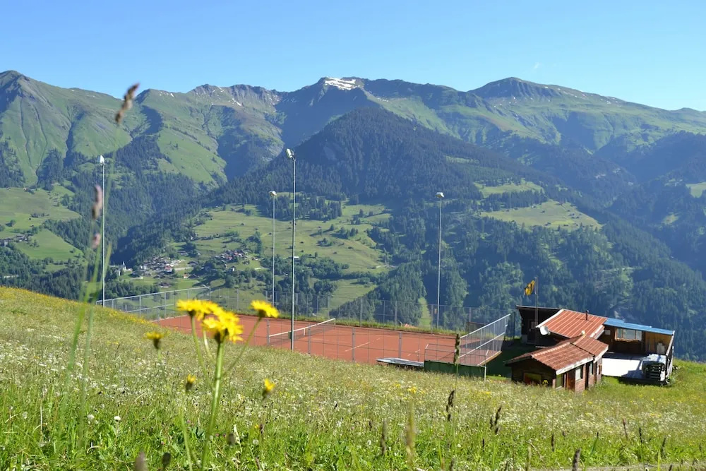 The Alpina Mountain Resort - Général