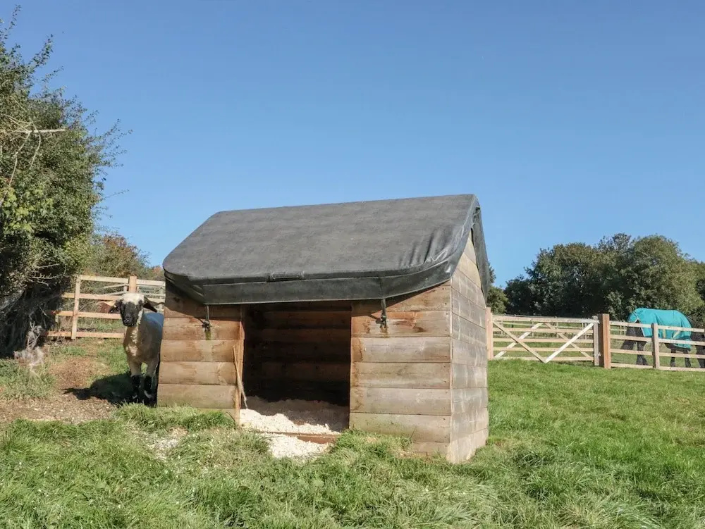 Foxes Den