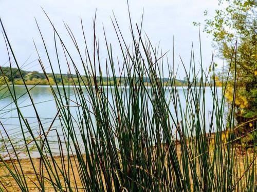 Beach & Waterfront