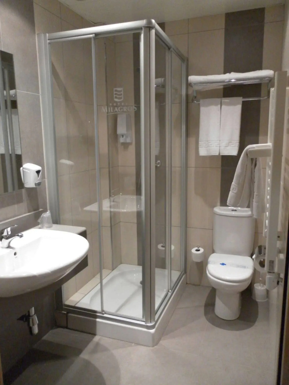 Hotel Milagros Rio Riaza - Général