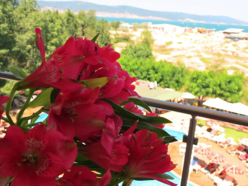 Hotel photo 37