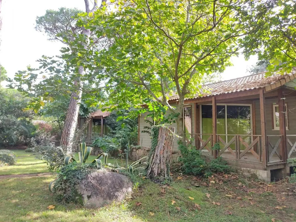 Chalet