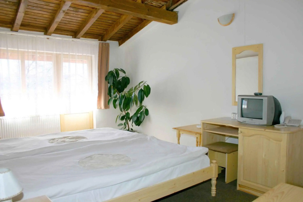 Family Hotel Bisser - Général