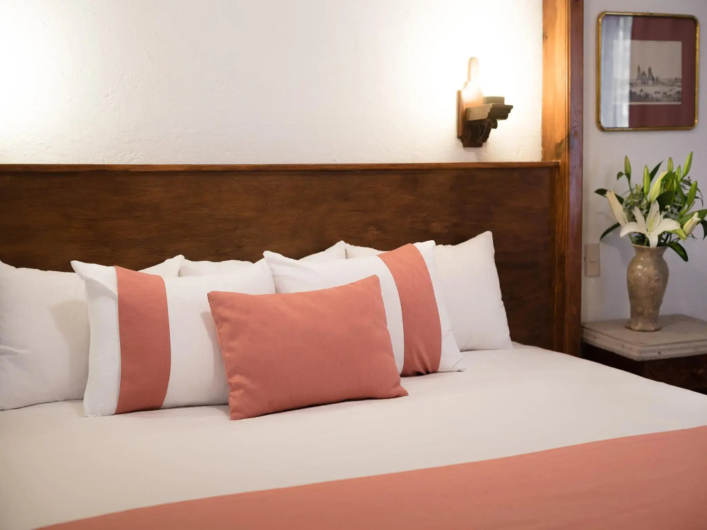 Hotel Misión Guanajuato - Général