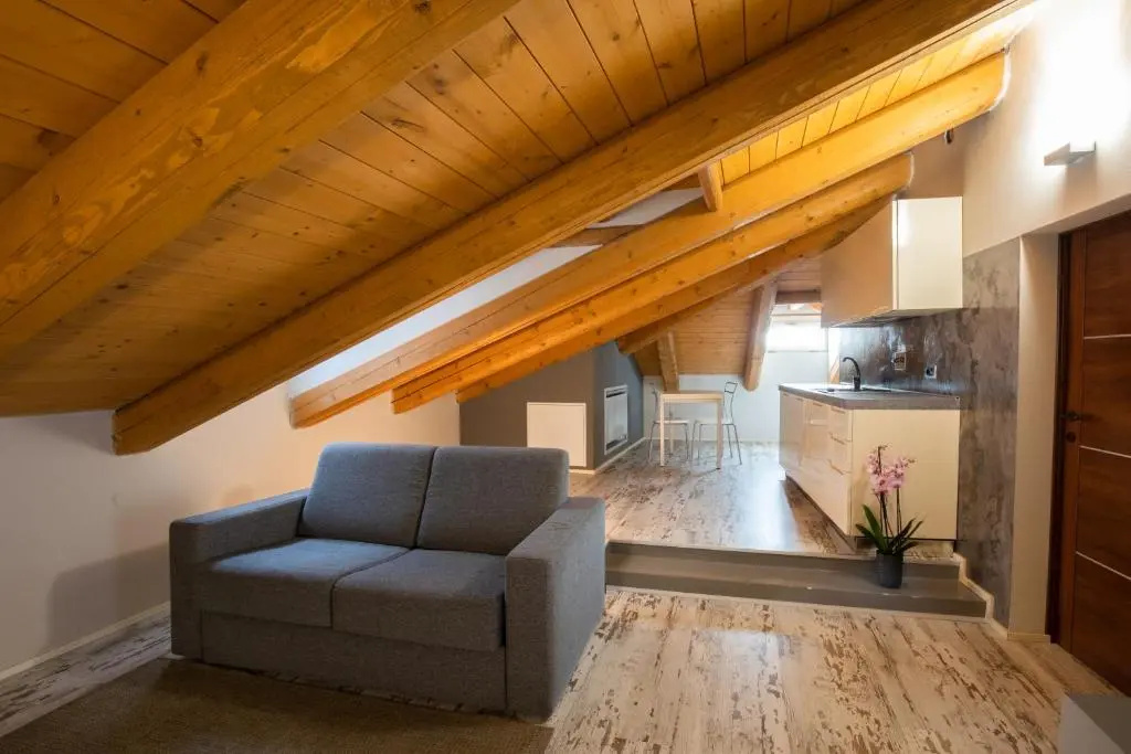 1 Bedroom Attic Apartment
