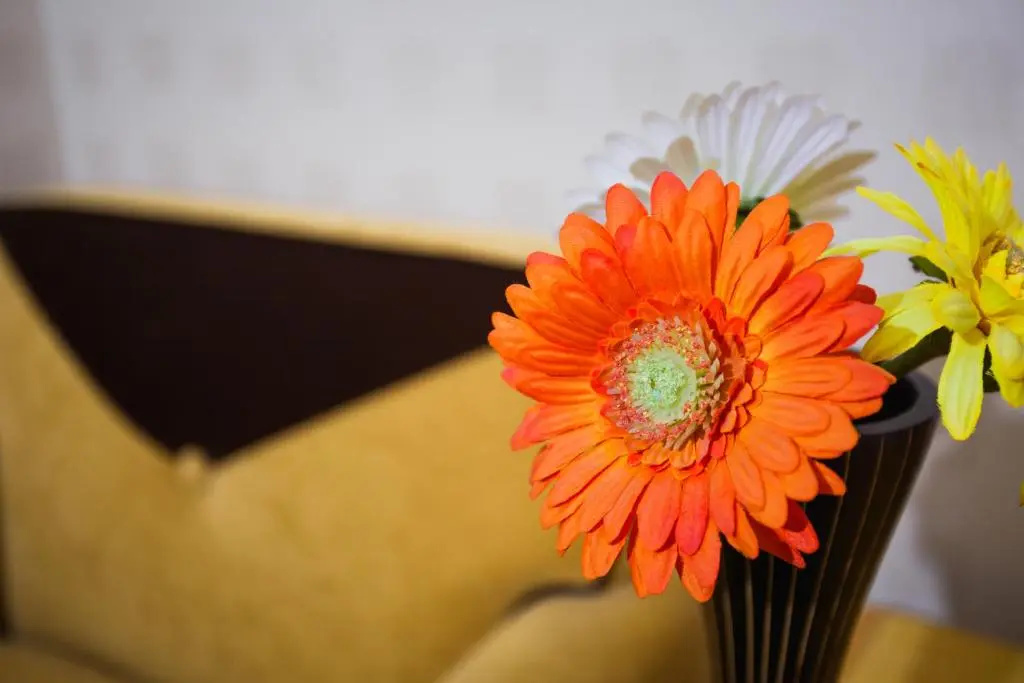 Menlo Park Inn - Chambres