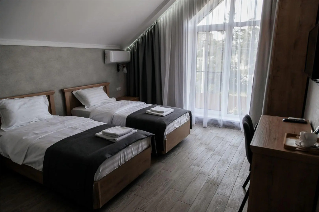 Standard Double room with city view (twin beds)