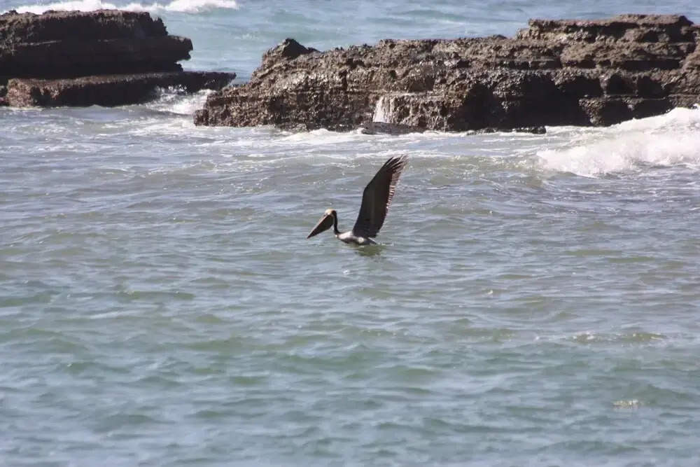 Casa Blanca - фото 24