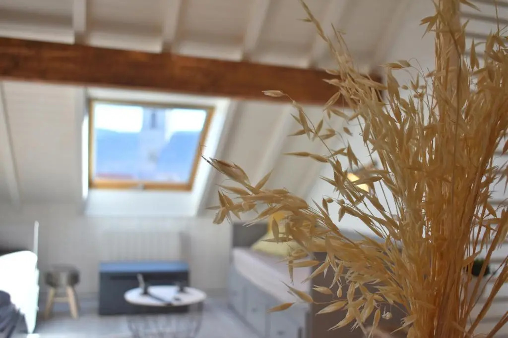 Charmant Studio, Le Petit Gris Des Montagnes