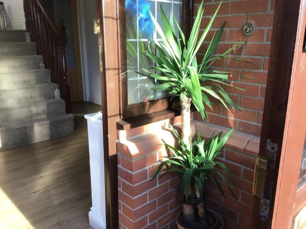 MysecondHolidayHome