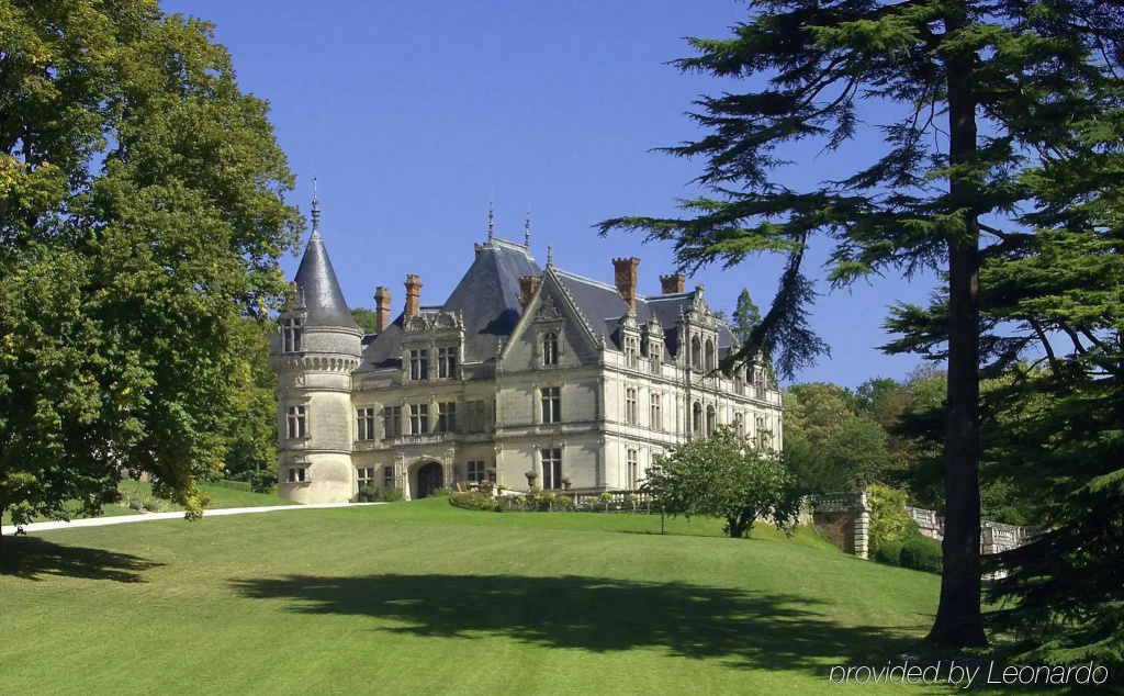 Château de la Bourdaisière - Général