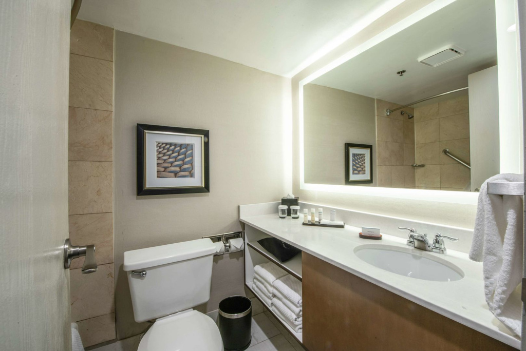 Embassy Suites by Hilton Chicago Schaumburg Woodfield - Général