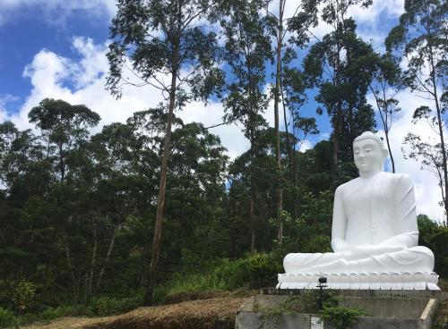 Binoya Tea Estate Bungalow