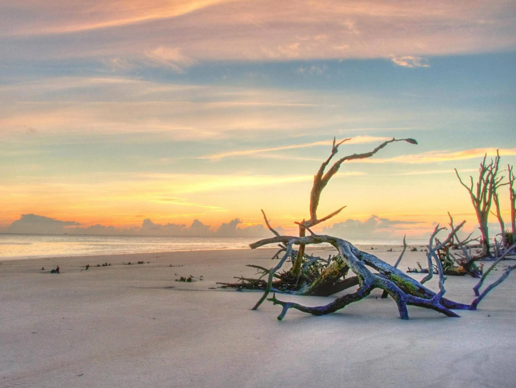 The Westin Jekyll Island Beach Resort - Général