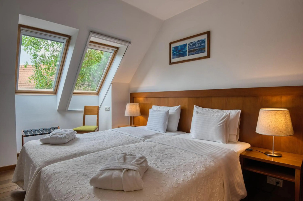 Tisza Balneum Thermal Hotel - фото 42