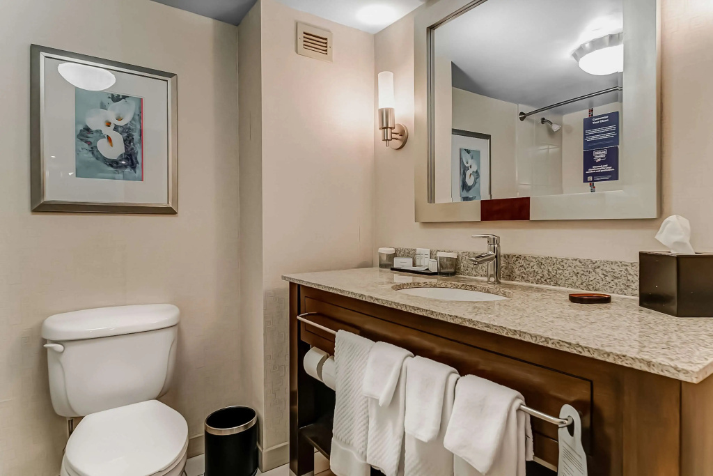 Embassy Suites Atlanta - Kennesaw Town Center - Général