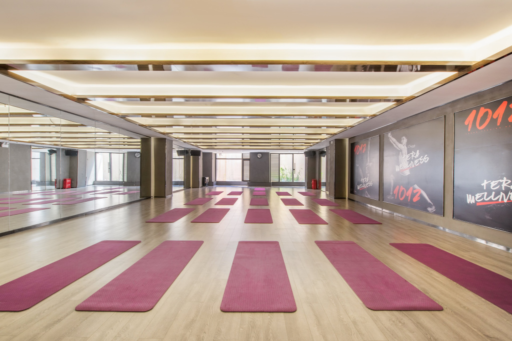 Holiday Inn Express Beijing Wangjing Center by IHG - Général