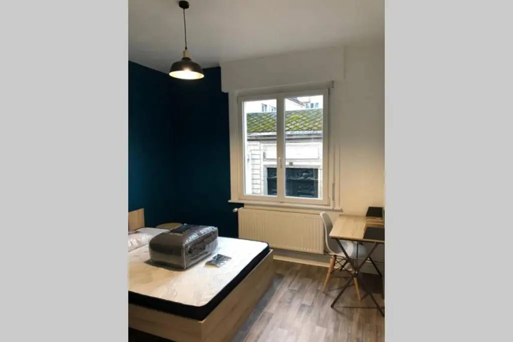 Spacieux confortable appartement centre ville