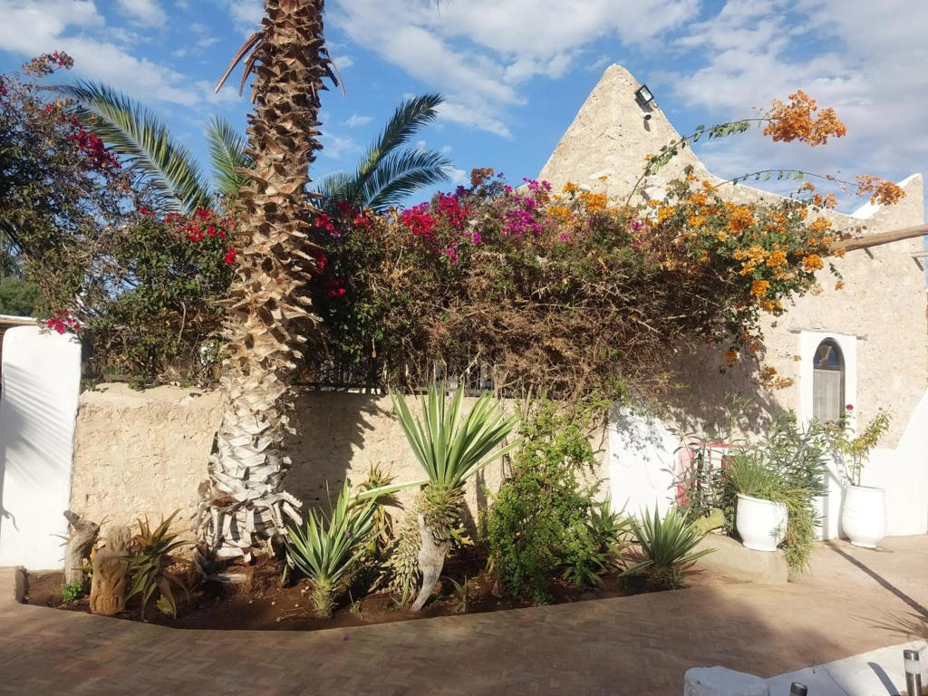 Riad Eucalyptus, Ethnic Hotel