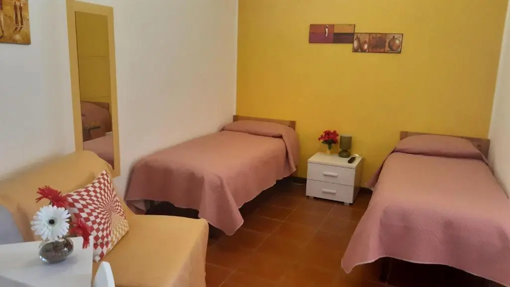 Standard Double room (twin beds)