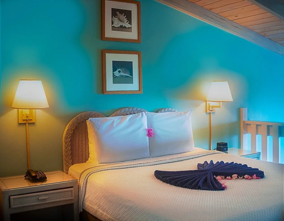Standard Duplex room