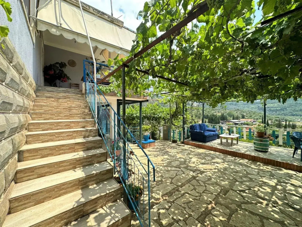 Boungainvillea