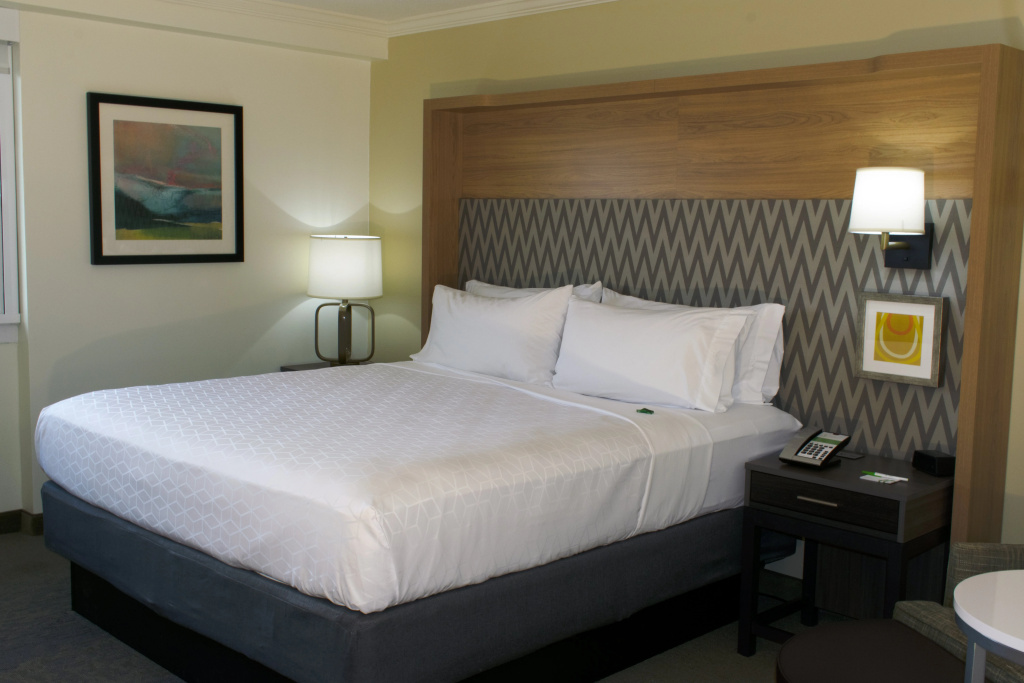Holiday Inn Binghamton Downtown by IHG - Général