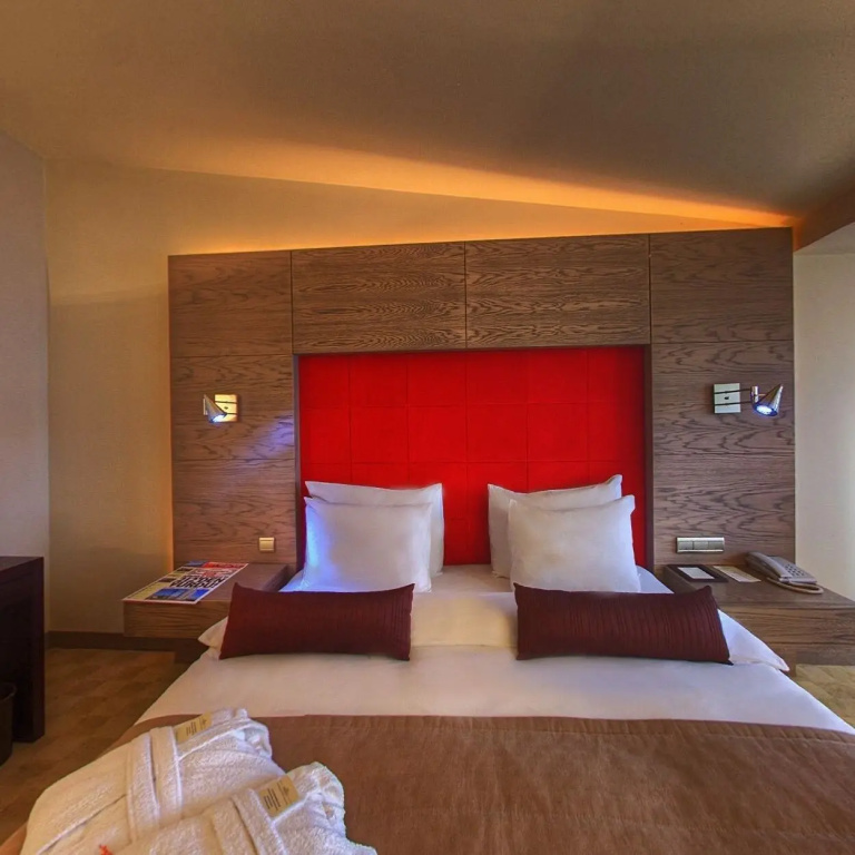 Agaoglu My City Hotel - Général