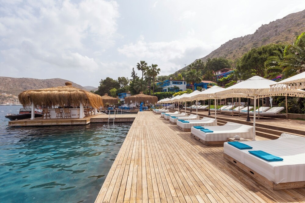 Beach & Waterfront