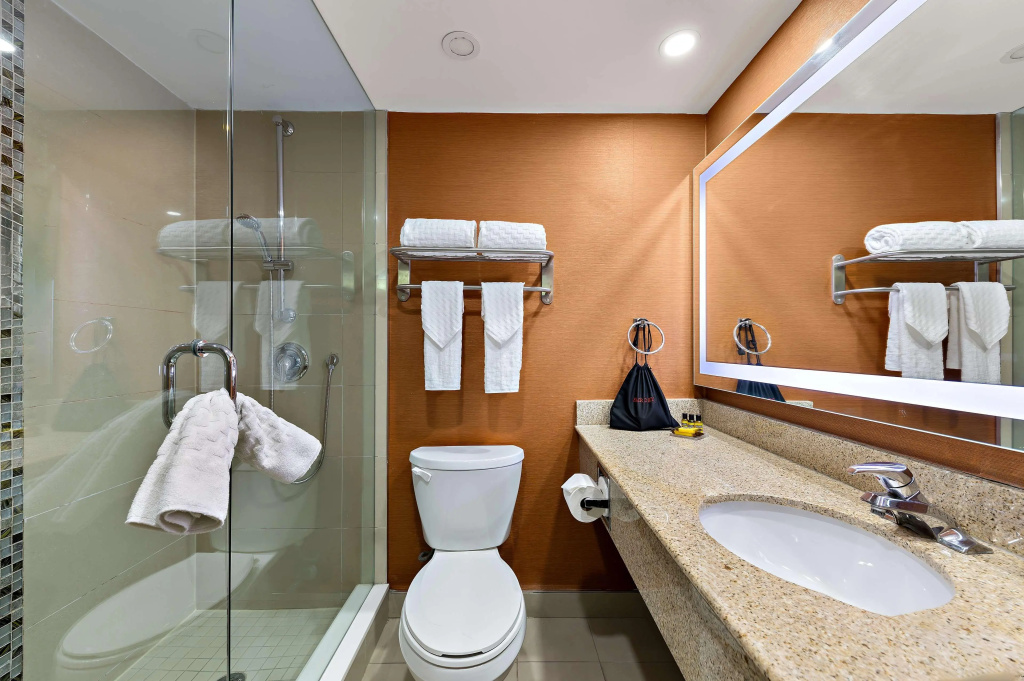 Best Western Plus Toronto North York Hotel & Suites - Général