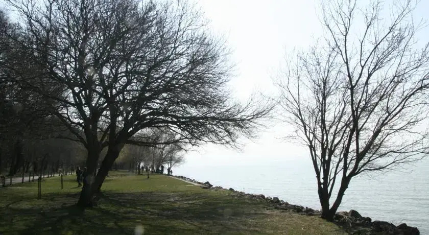 TIHANY-SAJKOD - фото 10