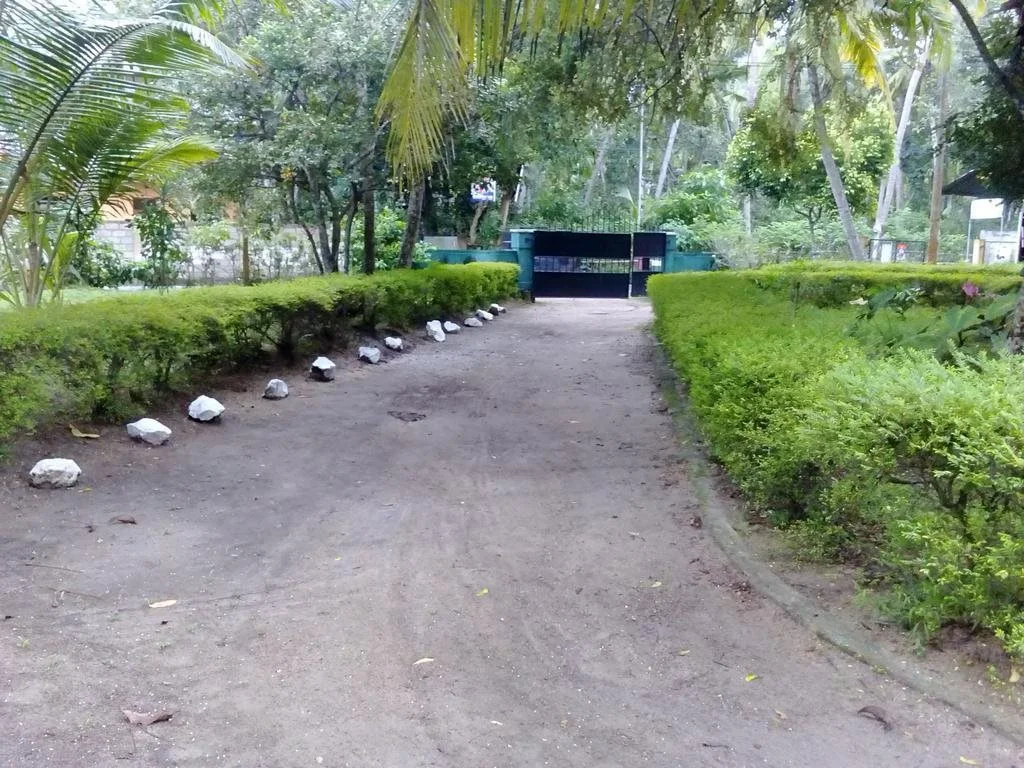 Riparian Rest - Général