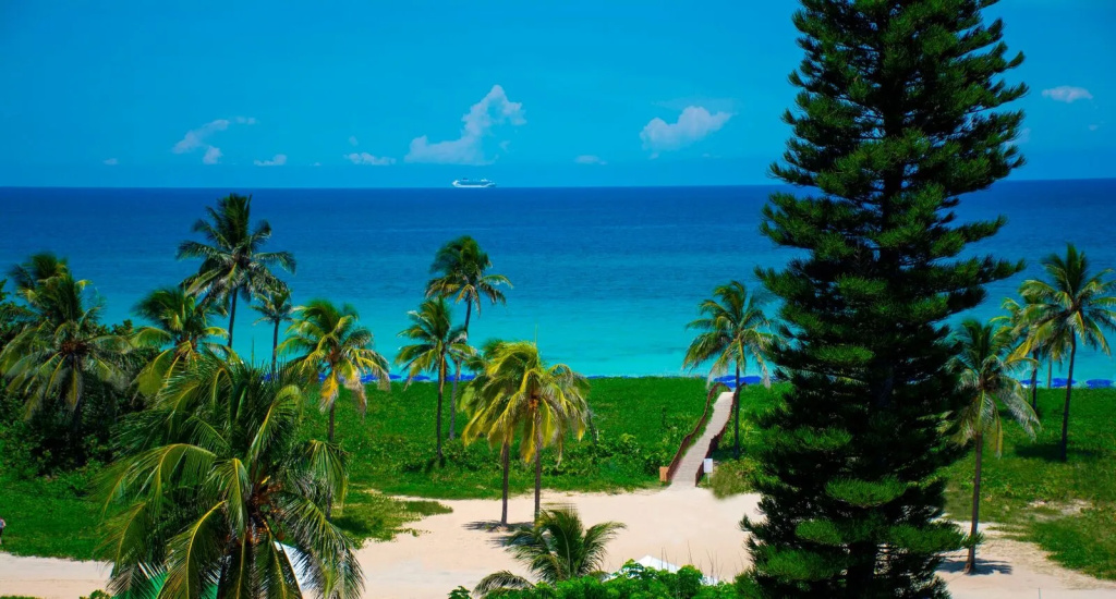 Beach & Waterfront