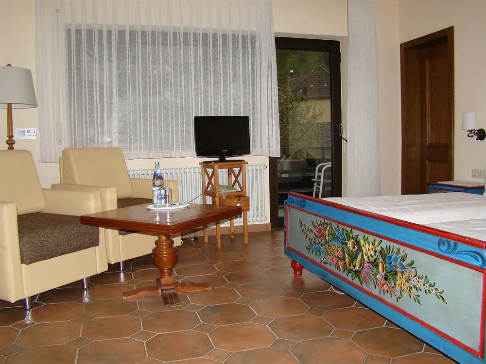 Hotel Hirsch - Général