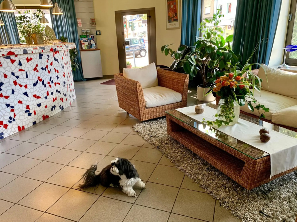 Hotel photo 11