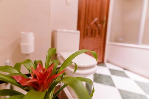 Hotel photo 31