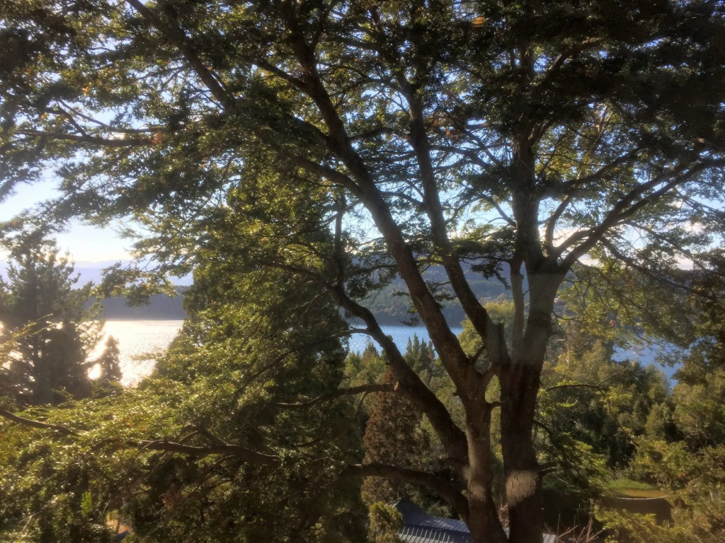 Hotel photo 28