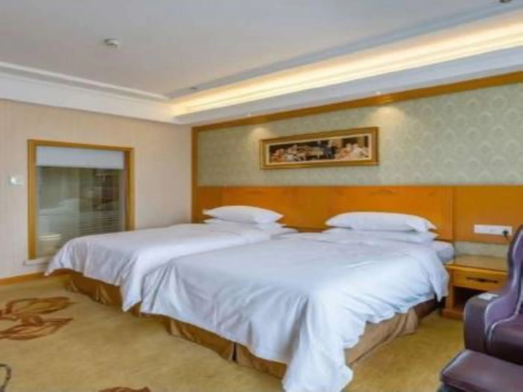 Vienna Hotel Wuhan International Conference and Exhibition Center Branch - Chambres