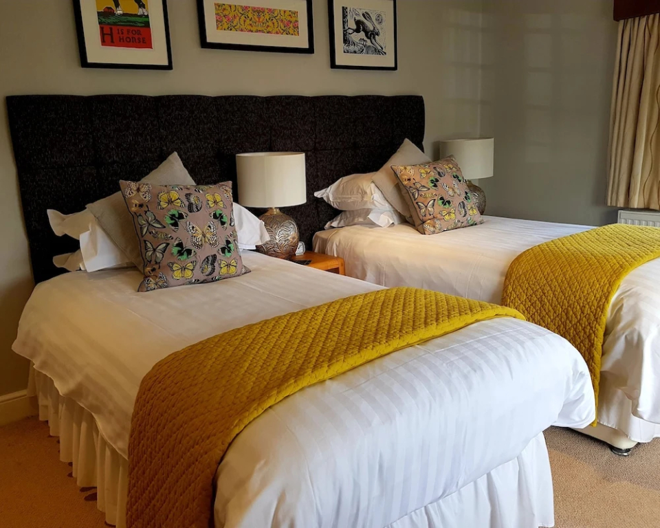 Standard Double room twin beds