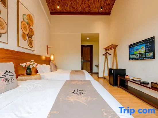 Standard Double room with mountain view (twin beds)