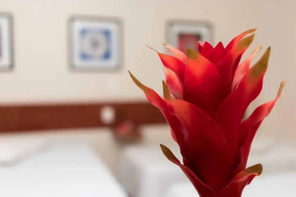Turis Hotel - Chambres