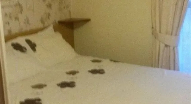 Hotel photo 31